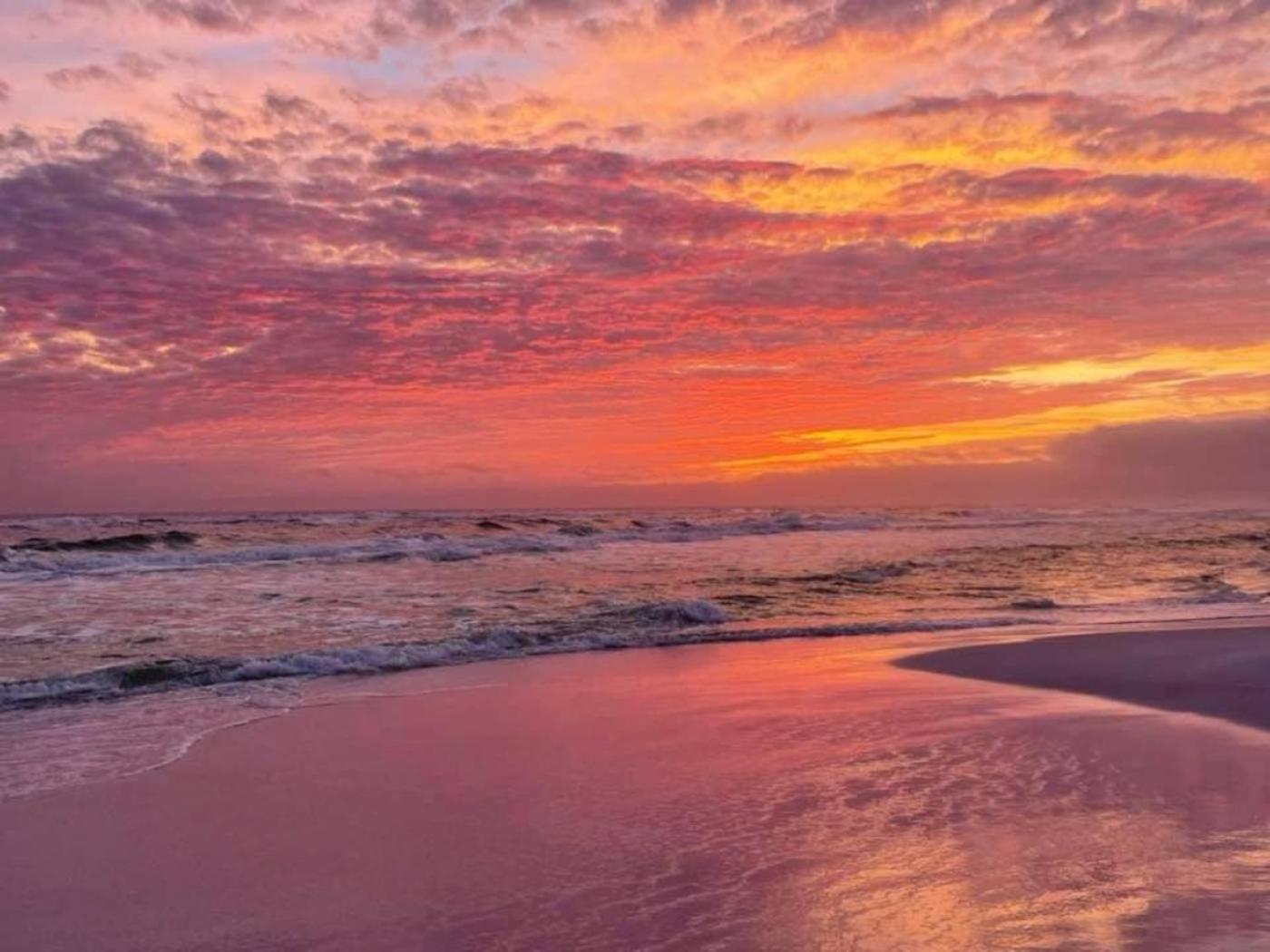 5 Star Resort 11Th Fl Stunning Sunrise 2Br 2Ba King Suite,Pools ,Shuttle Or Walk To Beach 데스틴 외부 사진